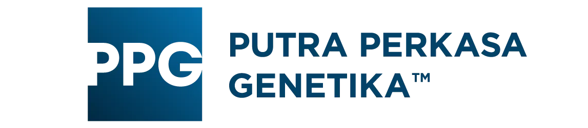 Logo PPG 256x56